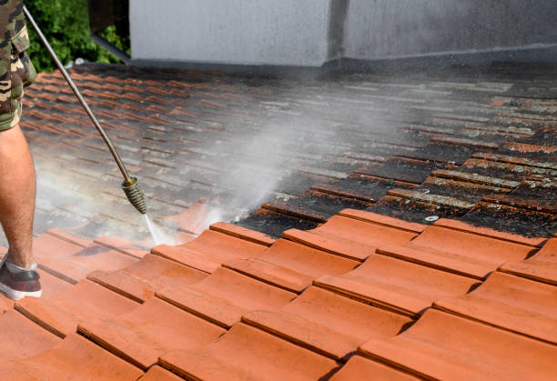 Best Concrete Pressure Washing  in Murphysboro, IL