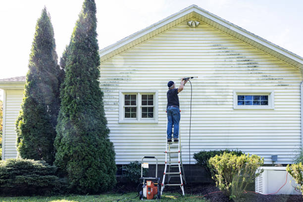 Best Sidewalk Pressure Washing  in Murphysboro, IL