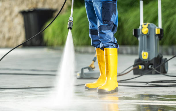 Best Pressure Washing Near Me  in Murphysboro, IL